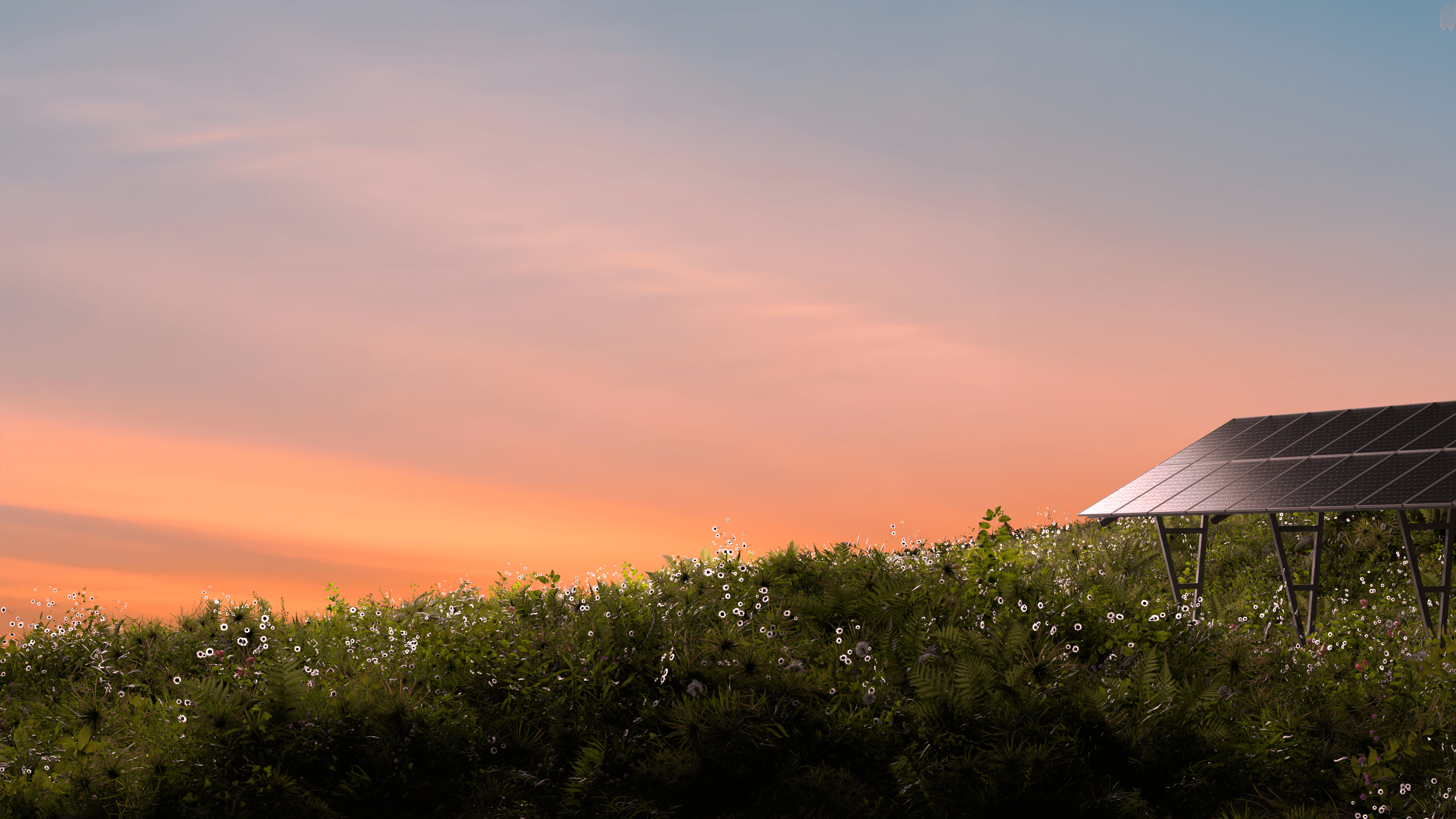 Solar panels at sunset