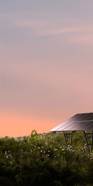 Solar panels at sunset